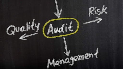 Audit ideas